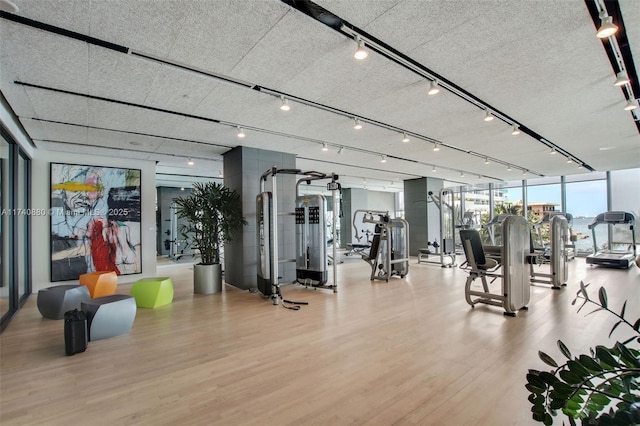 exercise room with a wall of windows, light hardwood / wood-style floors, rail lighting, and a textured ceiling