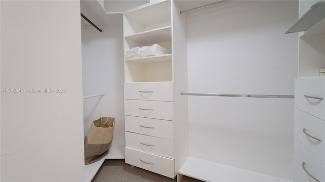 691 Ridgewood Rd, Key Biscayne, FL 33149 - walk in closet featuring carpet