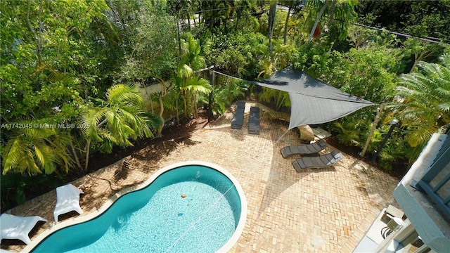 691 Ridgewood Rd, Key Biscayne, FL 33149 - outdoor pool featuring a patio