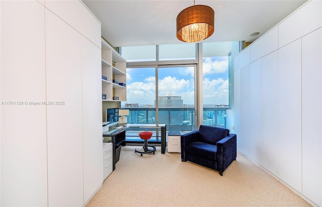 office featuring light carpet and expansive windows