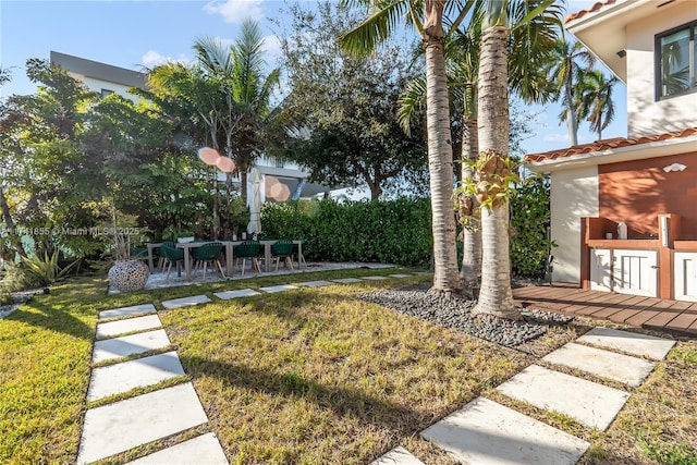 view of yard featuring a patio area