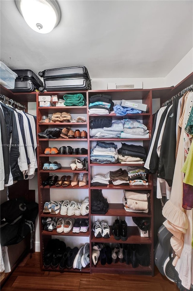 spacious closet with hardwood / wood-style floors