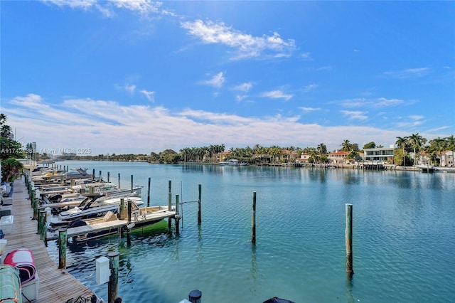 dock area featuring a water view