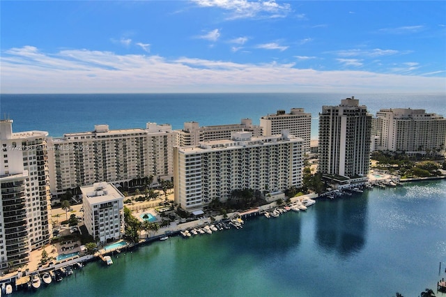 aerial view with a water view