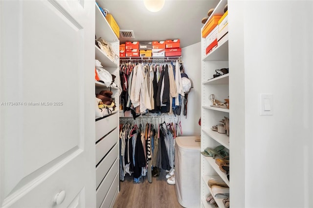 spacious closet featuring wood-type flooring