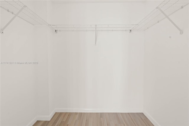 spacious closet featuring hardwood / wood-style flooring