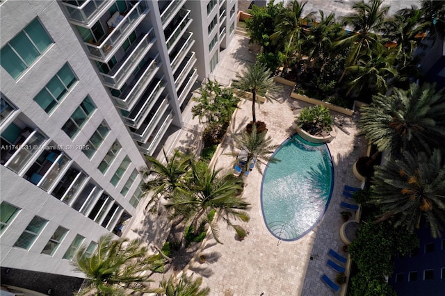 view of pool with a patio area