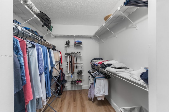 spacious closet with hardwood / wood-style flooring