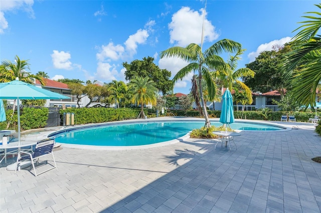 view of pool with a patio area