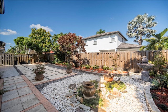 view of yard with a patio area