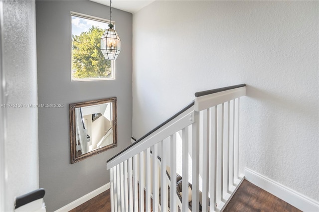 staircase with hardwood / wood-style flooring and an inviting chandelier