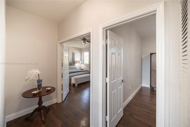 hallway featuring dark hardwood / wood-style flooring