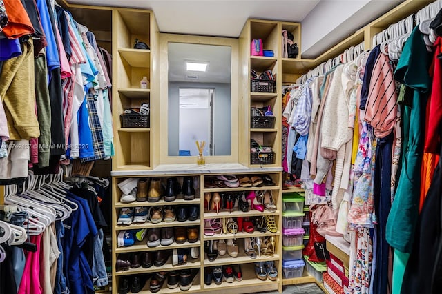 view of spacious closet