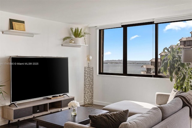 living room featuring hardwood / wood-style flooring and a water view