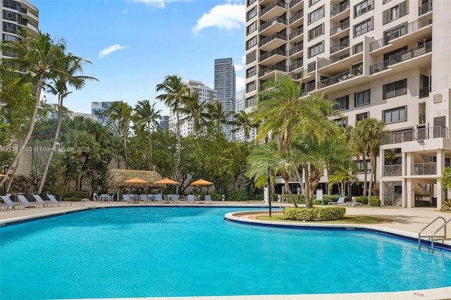 540 Brickell Key Dr Unit 1519, Miami, FL 33131 - view of pool
