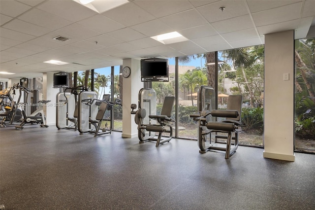 gym with a paneled ceiling and floor to ceiling windows