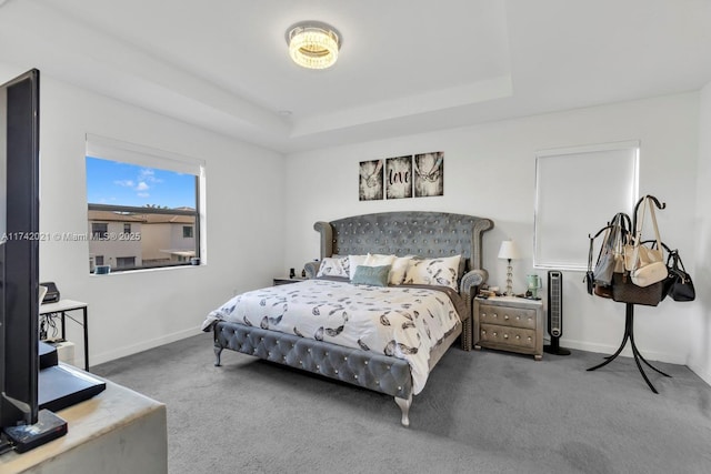 carpeted bedroom featuring a tray ceiling