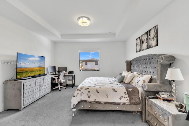 carpeted bedroom featuring a raised ceiling