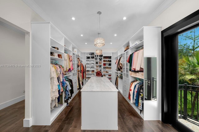 spacious closet with dark hardwood / wood-style flooring