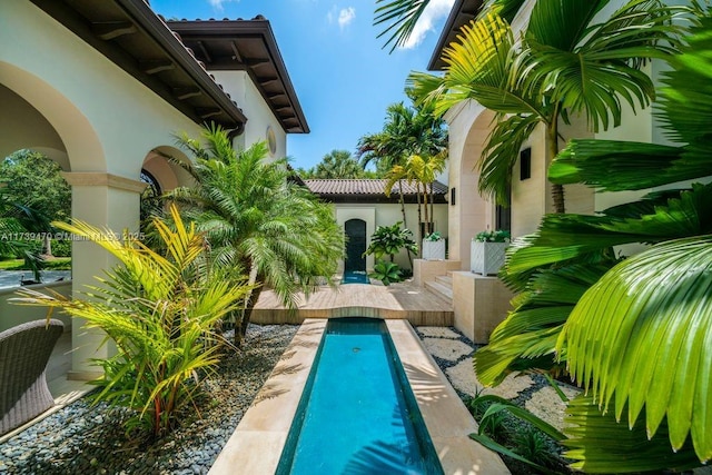 view of swimming pool with a patio