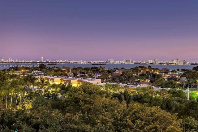 2000 Towerside Ter Unit 910, Miami, FL 33138 - view of mountain background with city skyline