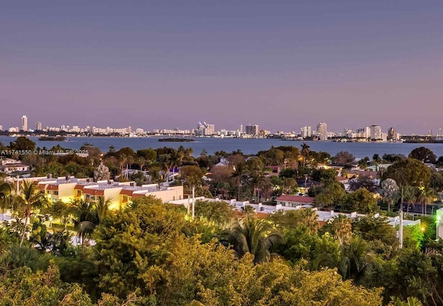 2000 Towerside Ter Unit 910, Miami, FL 33138 - drone / aerial view of skyline and a large body of water