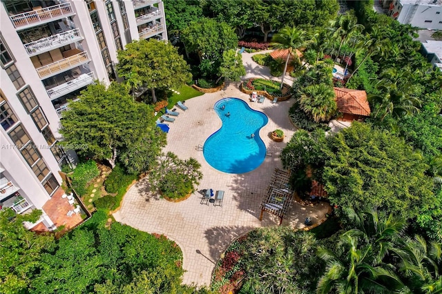 2000 Towerside Ter Unit 910, Miami, FL 33138 - aerial view of a pool