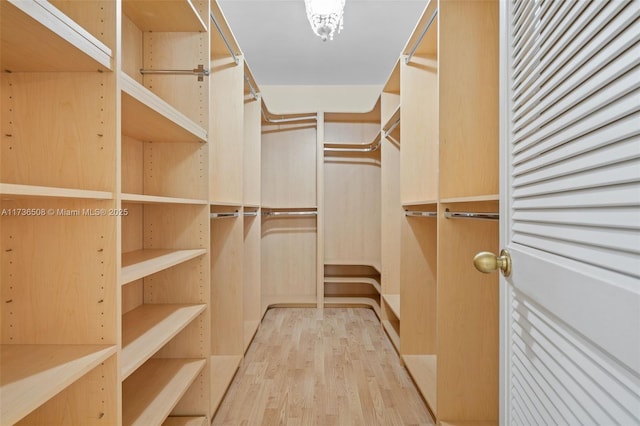 walk in closet with light wood-type flooring