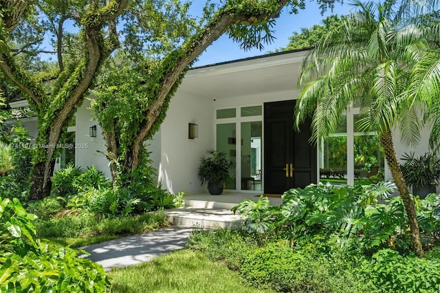 view of exterior entry featuring stucco siding