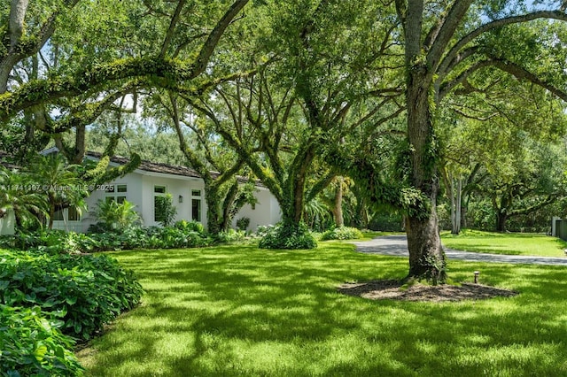 5501 Snapper Creek Rd, Coral Gables, FL 33156 - view of yard