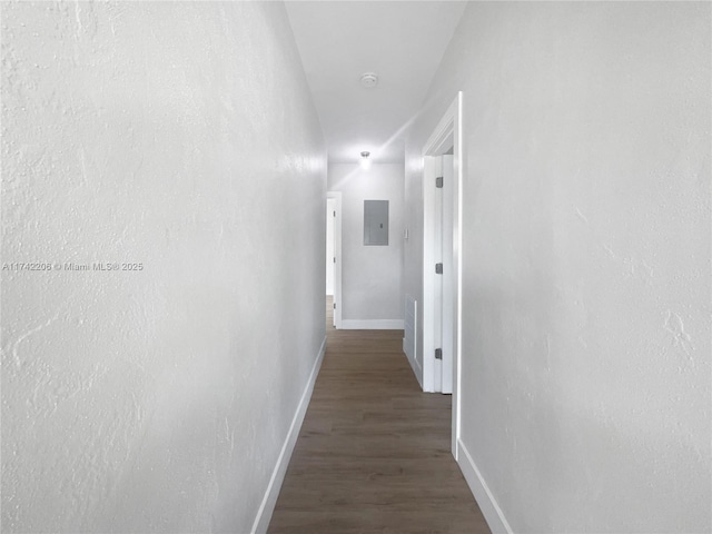 corridor with dark wood-type flooring and electric panel