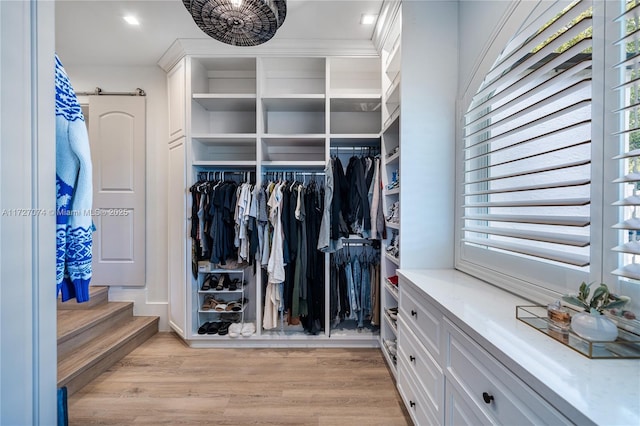 walk in closet featuring light wood-style floors and a barn door