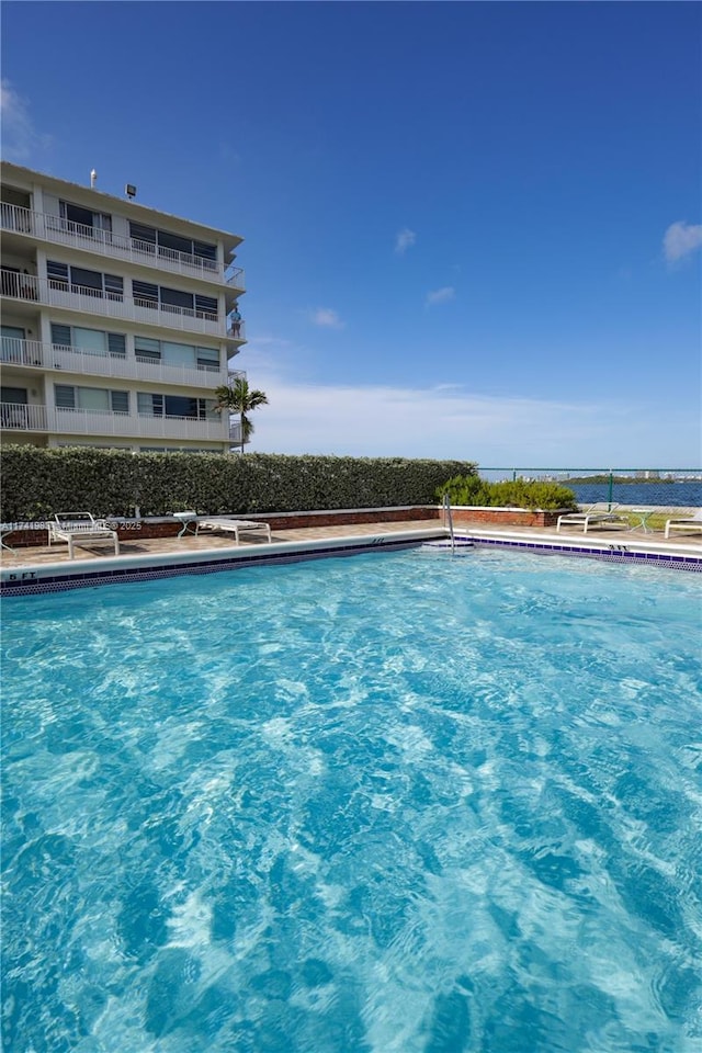 view of swimming pool