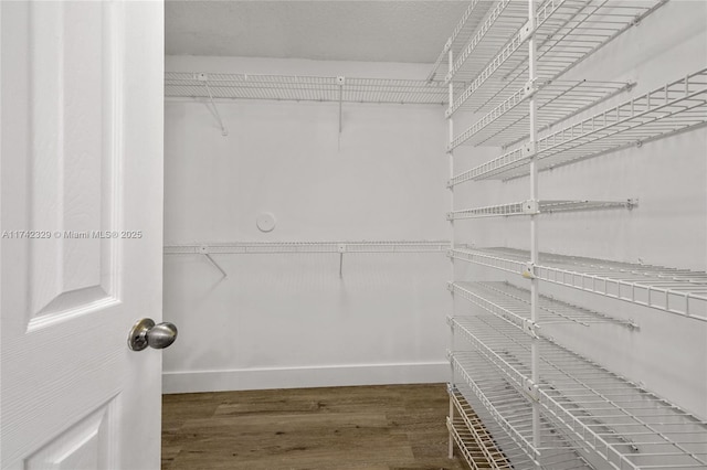 spacious closet featuring dark wood-type flooring