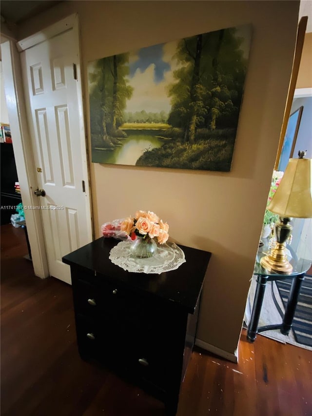 interior space featuring hardwood / wood-style floors