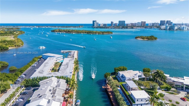 bird's eye view with a water view