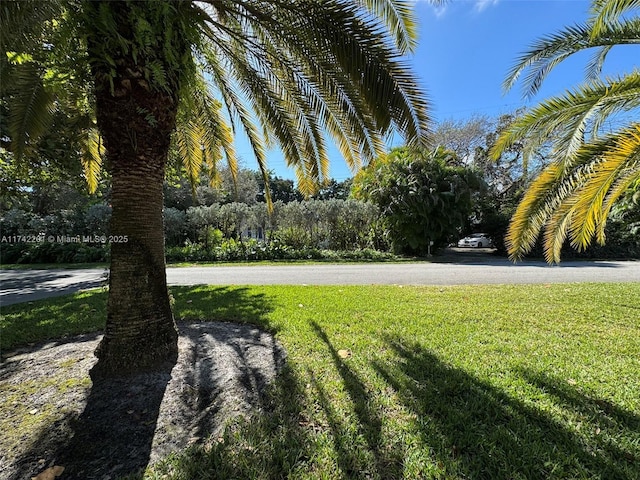 view of community featuring a lawn