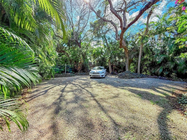 view of yard featuring dirt driveway