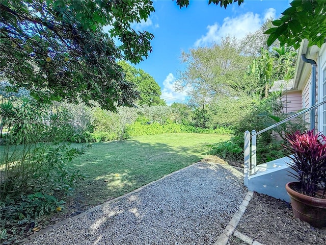 view of yard with a patio area