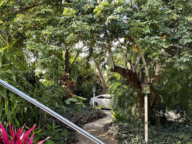 exterior space