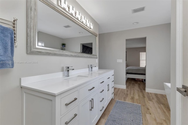 bathroom with hardwood / wood-style flooring and vanity