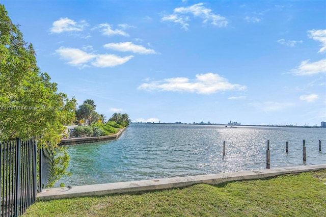 dock area with a water view