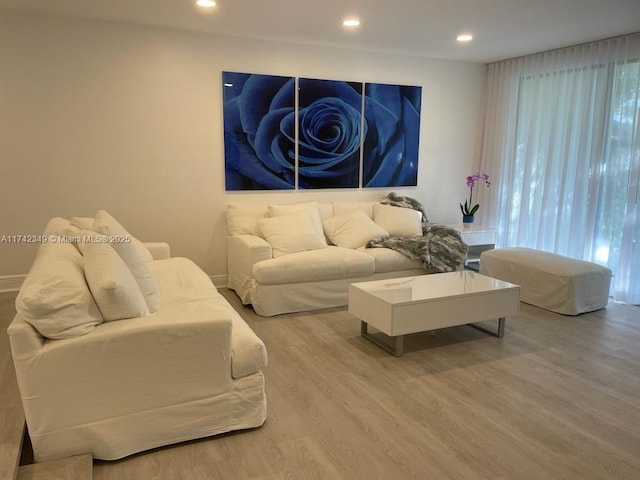 living room featuring wood-type flooring