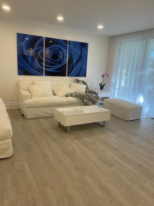 living room featuring hardwood / wood-style floors