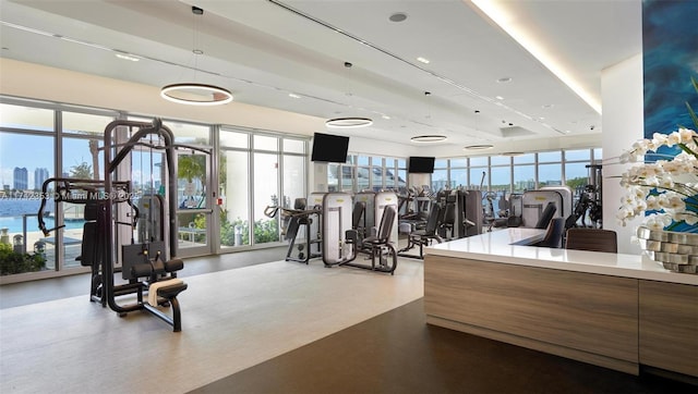 exercise room with a healthy amount of sunlight