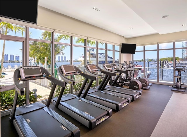 exercise room with plenty of natural light