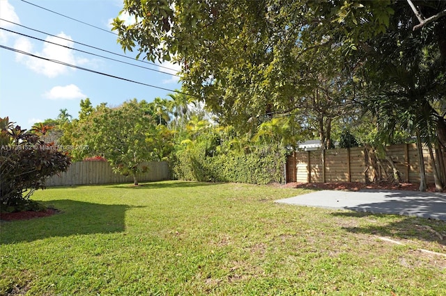 view of yard featuring a patio