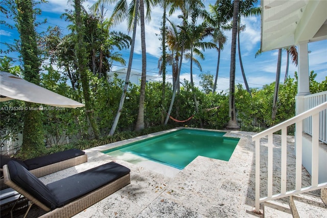 view of swimming pool featuring a patio area