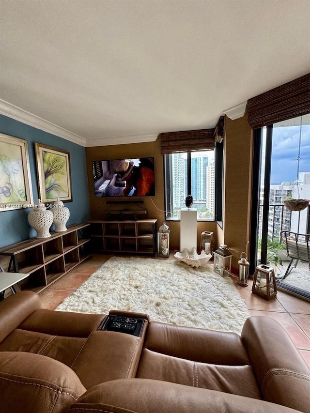 tiled home theater room featuring crown molding and plenty of natural light