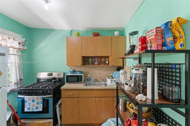 kitchen with stainless steel gas range oven, sink, and decorative backsplash